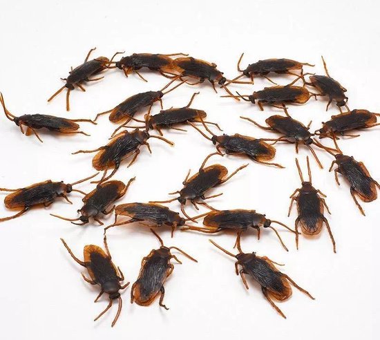 8 nep kakkerlakken - Leuk als grap op je taart, eten, bed, bank, etc