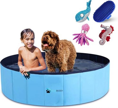 Splashbuddy Hondenzwembad 120 x 30 cm - Met Kong knuffel - Duurzaam - Hondenbad - Honden speelgoed